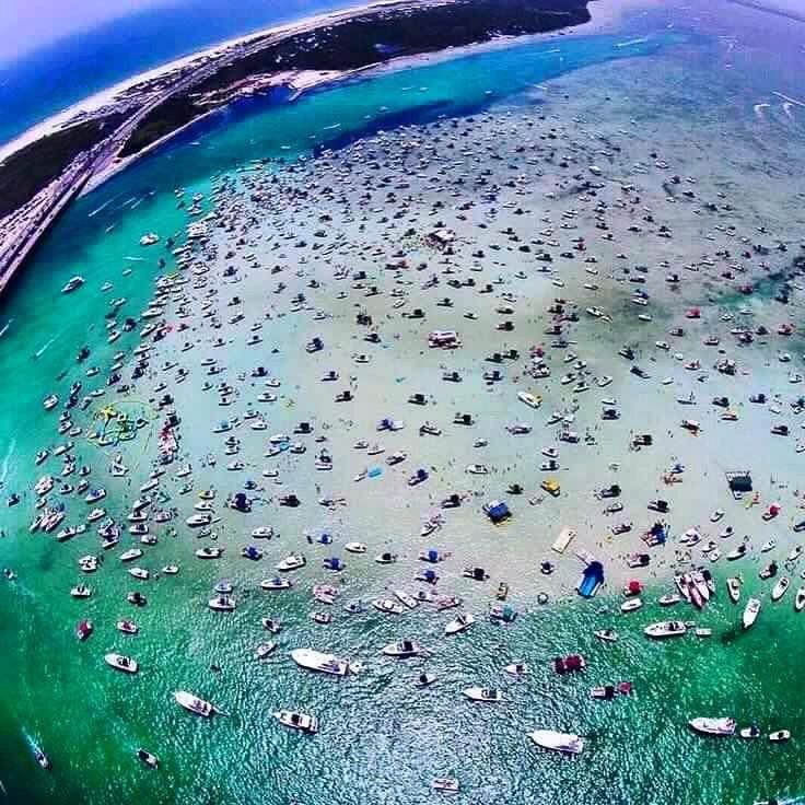 Crab Island
