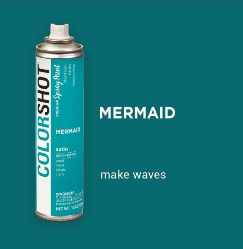 Colorshot Spray Paint