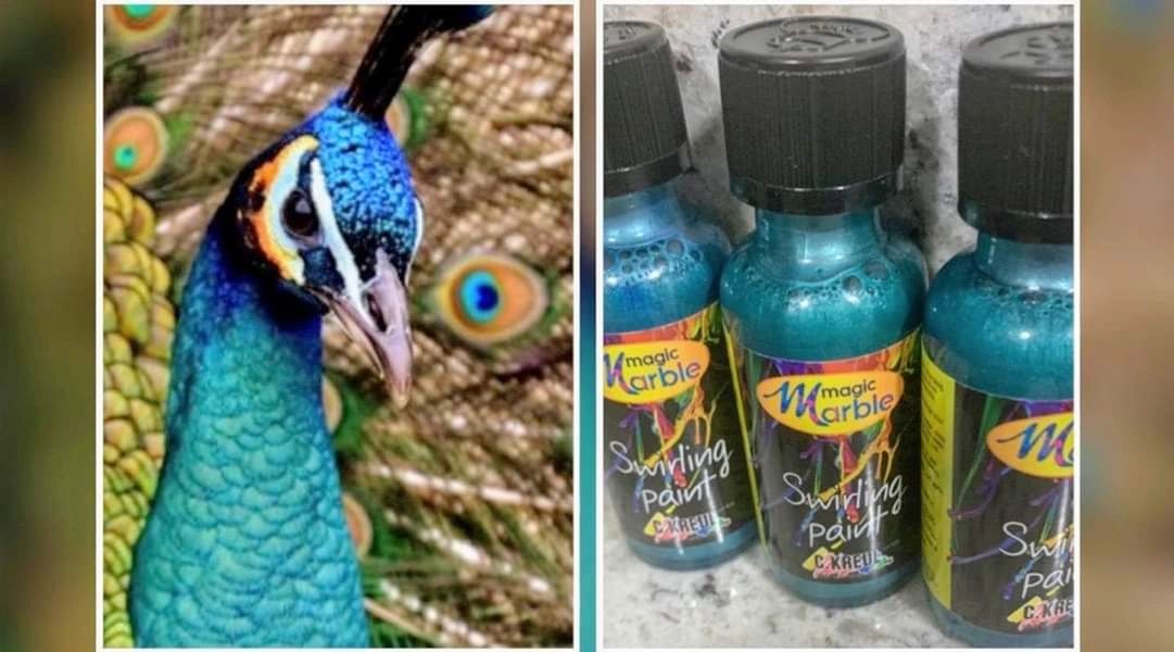 Peacock paint