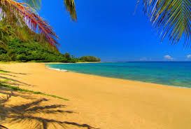 Gold Sand Beach